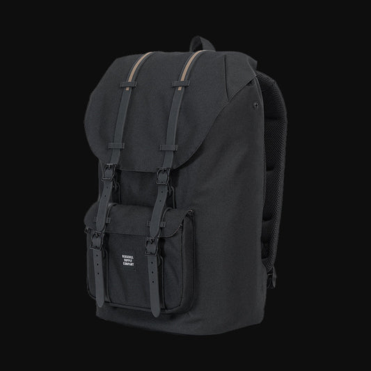 Laptop Backpack